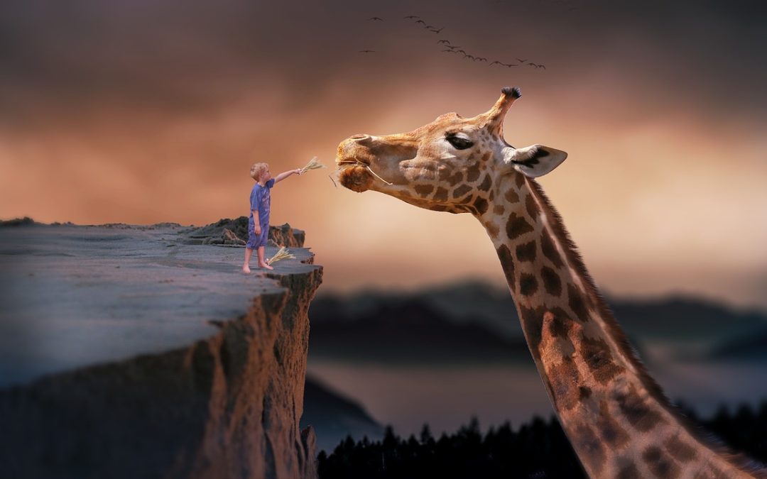 giraffe dream